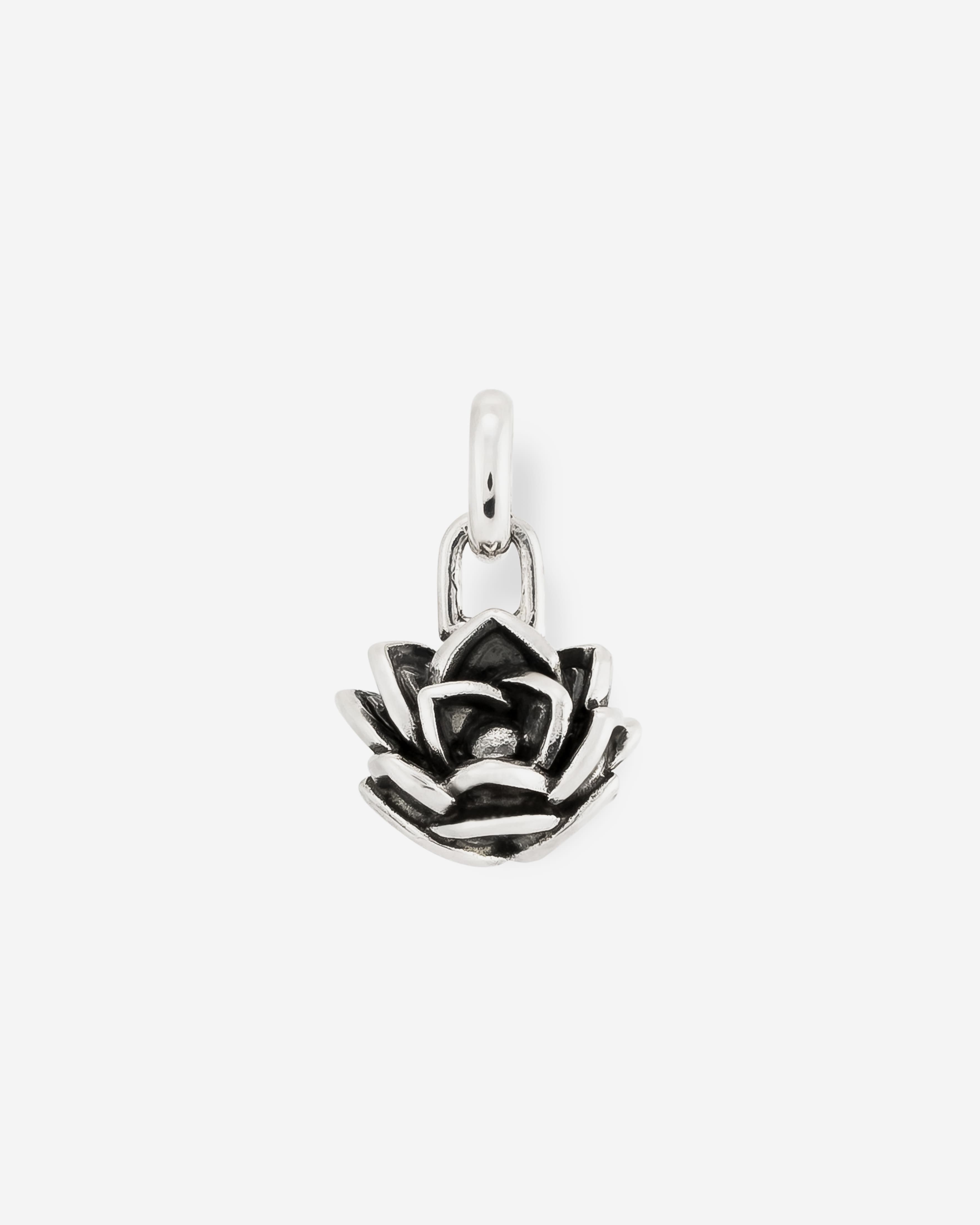 Hanger Lotus XS - View 1